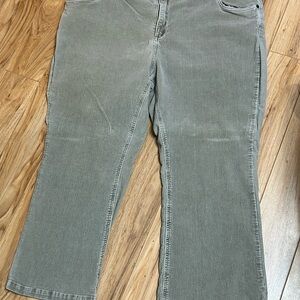 “Mainstreet Blues” Five Pocket Tan Corduroy Pants Size 26WP (Woman Within)
